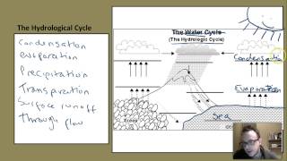 The Hydrological Cycle and Drainage Basin Systems [upl. by Perlis869]