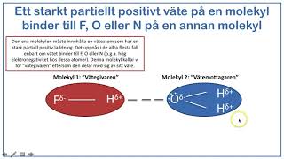 Fråga kemiläraren  Vad menas med vätebindningar [upl. by Sweeney]