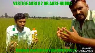 VESTIGE AGRI 82 OR AGRIHUMIC KI SAFALTA [upl. by Marie]