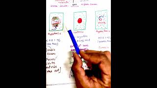 OsMosis  Reverse OsMosis  ISOTONIC HYPERTONICHYPOTONIC SOLUTIONs  SOLUTIONS 12th CBSE neet2025 [upl. by Tobias]