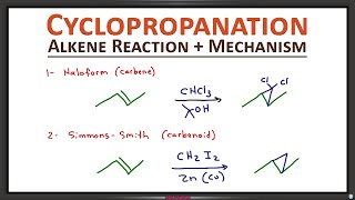 Cyclopropanation of Alkenes Carbene via Haloform and Simmons Smith Reactions [upl. by Caroline]