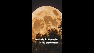 Luna Llena del 18 de septiembre ¿Qué Impacto Tendrá en Tu Energía y Abundancia [upl. by Tyre]