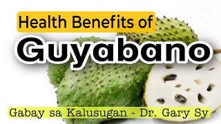 Guyabano Health Benefits  Dr Gary Sy [upl. by Formica]