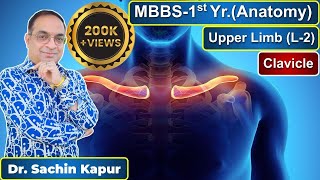 MBBS  First Year  1st Prof  Anatomy  Upper Limb L2  Clavicle  Dr Sachin Kapur  AIIMS [upl. by Orvan]