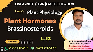 Brassinosteroids  Biosynthesis amp Signaling  Plant Hormones  Plant Physiology genesisinstitute [upl. by Lartnom]