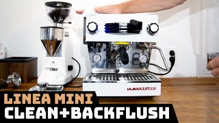 Clean  Backflush LINEA MINI by La Marzocco [upl. by Adnirol]