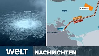 HAFTBEFEHL Verdächtiger Ukrainer Wolodymyr Z wegen NordStreamAnschlag gesucht  WELT LIVESTREAM [upl. by Herod]