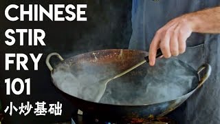 Stir Frying 101 Chinese Stir Fry Techniques Using Pork and Chili 青椒肉丝 [upl. by Suivatnom]