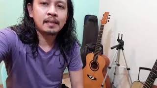 Blindtest Gmelina top vs Sitka Spruce top [upl. by Olimpia586]