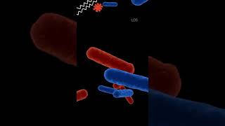 Kingdom Monera  Biological classification  Five kingdom classification  Learno Spark Biology [upl. by Altheta]