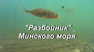 quotРазбойникquot Минского моря quotThe Highwaymanquot Minsk seaquot [upl. by Leunammi210]