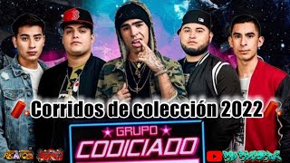 🧨grupo codiciado ❌mix corridos de coleccion 2022codiloco puros corridasos [upl. by Geraldina]