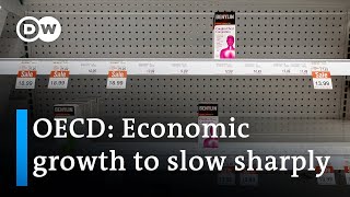 OECD gives sobering forecast for world economy  DW News [upl. by Lotz]