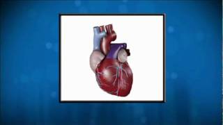 What is Cardiovascular Disease Doctor Akshay Khandelwal Explains [upl. by Wartow347]