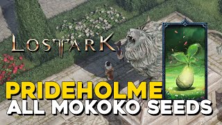 Lost Ark All Prideholme Mokoko Seed Locations [upl. by Bal]