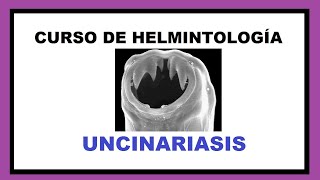 Todo sobre LA UNCINARIASIS  Curso de Helmintología [upl. by Renate]