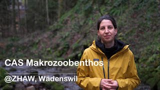 CAS Makrozoobenthos ZHAW Wädenswil [upl. by Anyrak]