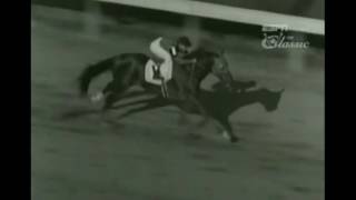 A tribute to Whirlaway Impossible RIP champ [upl. by Birmingham]