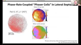 Talk Spatial thetaphase coding in the lateral septum a theory of allocentric feedback during nav… [upl. by Eisenstark]