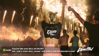 Garmiani  Jump amp Sweat feat Sanjin Audio I Dim Mak Records [upl. by Ymmac804]