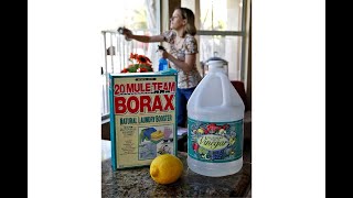 New TikTok trend has people drinking Borax  Why this toxicologist is urging people to stop [upl. by Murdocca]