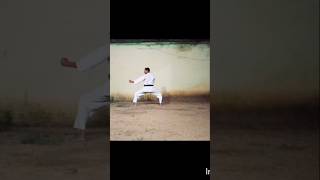 Ura Ushiro Mawashi Geri Practice vairalshort [upl. by Jewell]