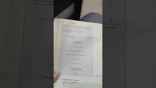 BRS Physiology Chapter 1 Cell Physiology Topic  Smooth Muscles and Table 13 [upl. by Heurlin]