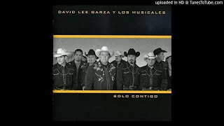 David Lee Garza Y Los Musicales Ladrona De Corazones 2004 [upl. by Notgnirrab86]