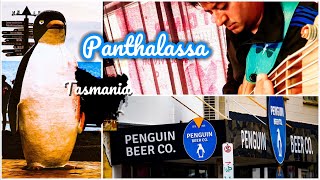 “Panthalassa” by Hari Nandu Penguin Beer Co Tasmania Australia Fodera Emperor 6 bass [upl. by Hollyanne69]