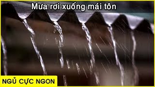 Nghe thử 1 phút là ngủ liền thẳng cẳng  với tiếng Mưa rơi quotLộp độpquot trên mái nhà lợp tôn [upl. by Helli380]