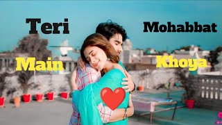 Teri Mohabbat Main Khoya ❤️ song New Hindi Song In 2024 [upl. by Pierson]