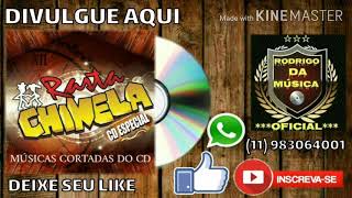 02 BEBER CAIR E LEVANTAR  RASTA CHINELA  CD ESPECIAL MÚSICAS EXCLUSIVAS [upl. by Anaes]