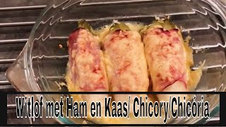 Recept WITLOF met HAM en KAAS Chicória receitaChicory recipe [upl. by Ynnavoig]