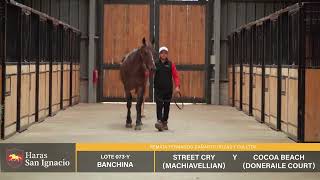 LOTE 073 BANCHINA USA  HARAS SAN IGNACIO [upl. by Suixela]