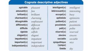 les adjectifs descriptifs [upl. by Areis]