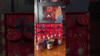 In Good Taste  2024 Wine Advent Calendar  Lauren Erions Review [upl. by Syl781]