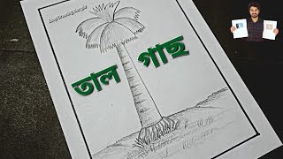 Tal Gas Drawing  Palm Tree Drawing  Easy Drawing Bangla Tutorial [upl. by Neroc110]