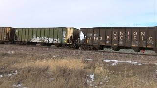 Green CampNW coal cars on UP train at 667th Avenue Nevada Iowa [upl. by Adiasteb693]