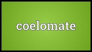 Coelomate Meaning [upl. by Sully]