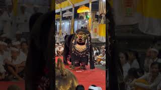 BANGKAL GIRANG Parade Barong ALL STAR Mengwitani 2024 [upl. by De Witt]