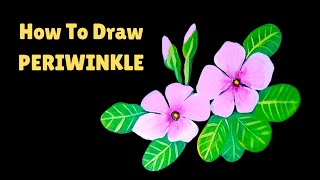 How to Draw Periwinkle Using Acrylic Colour [upl. by Ormsby]