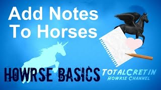 Add Notes To Horses  Howrse Basics [upl. by Arehsat]