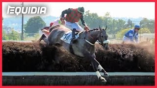 LES  GROS OBSTACLES DAUTEUIL DÉCRYPTÉS   Grand Steeple Chase de Paris [upl. by Eirolam]