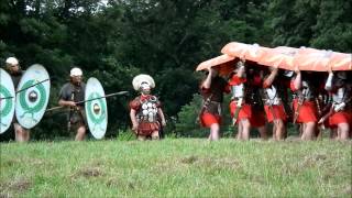 History Live 2013 The Festival of History Kelmarsh Hall [upl. by Elynad]