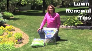 Lawn Renewal Tips [upl. by Leitnahs60]