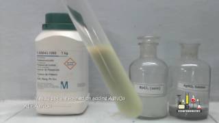 Potassium Iodide and Silver Nitrate [upl. by Aiht]