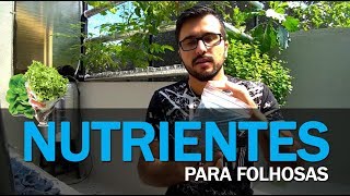 Nutrientes para Alface  Hidroponia [upl. by Sower]