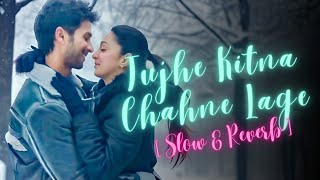 Tujhe Kitna Chahne Lage🥰  Dil Ka Dariya 💕 Kabir Singh 😎  New Hindi Lofi Song💯   Lofi Song 2024✨ [upl. by Brody]