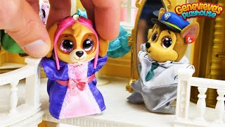 Paw Patrol Go Shopping at the Mall  Toy Learning Video for Kids [upl. by Ilohcin]