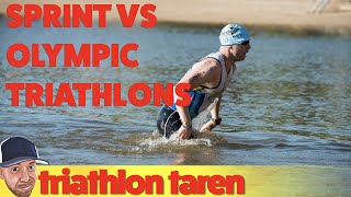 Sprint Triathlons vs Olympic Triathlons [upl. by Akcirred]